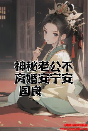 神秘老公不离婚安宁安国良